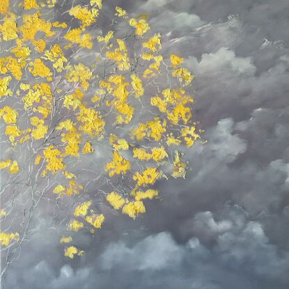 A partial view of the Silver Trumpet tree in full bloom against a stormy sky. Bright yellow flowering tree.