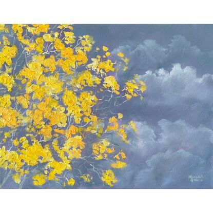 A partial view of the Silver Trumpet tree in full bloom against a stormy sky. Bright yellow flowering tree.