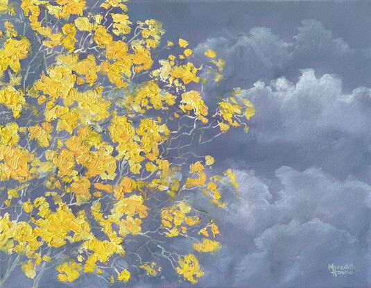 A partial view of the Silver Trumpet tree in full bloom against a stormy sky. Bright yellow flowering tree.