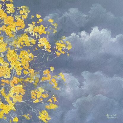 A partial view of the Silver Trumpet tree in full bloom against a stormy sky. Bright yellow flowering tree.