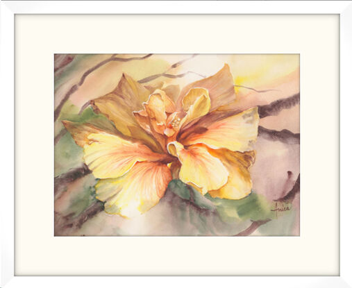 A solitary large Double-yellow Hibiscus taking up most of the paper with a moody background