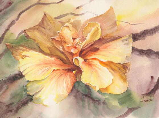 A solitary large Double-yellow Hibiscus taking up most of the paper with a moody background