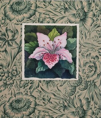 A single azalea bloom mounted on vintage paper