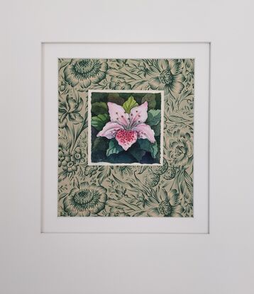 A single azalea bloom mounted on vintage paper