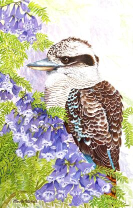 A large Kookaburra is sheltered amongst the branches of a Jacaranda tree and is partially hidden by the beautiful purple blossoms and delicate green leaves.
The brown and white feathers of the Kookaburra compliment the mauves and greens in the tree.
The blue feathers on the Kookaburra's wing adds a nice colour contrast.