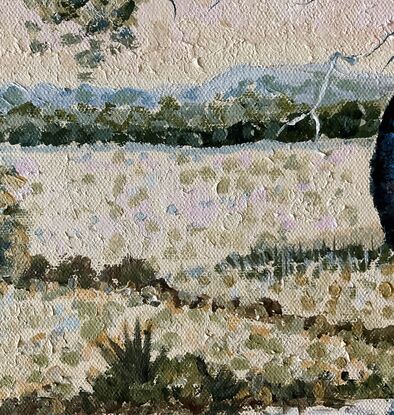 Bottle or boab tree in a rural setting with a light pink sky near a waterhole, with reflections in water. 