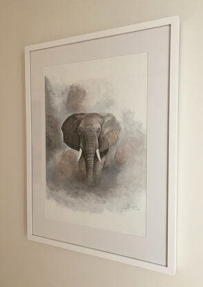 Elephant through the mist of dust