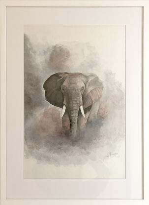 Elephant through the mist of dust