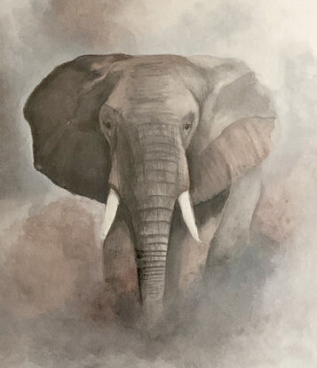 Elephant through the mist of dust