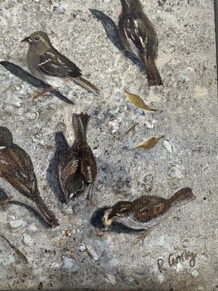 Sparrows playing looking for crumbs. 