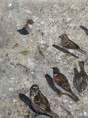 Sparrows playing looking for crumbs. 