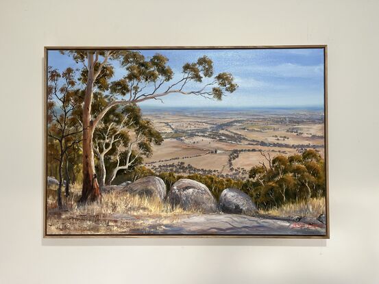 Rural view from lookout with rocks and trees