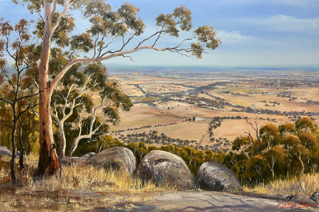 Rural view from lookout with rocks and trees