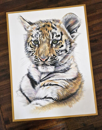 Tiger portrait