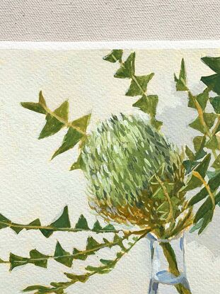 Green banksia flower in vase on blue