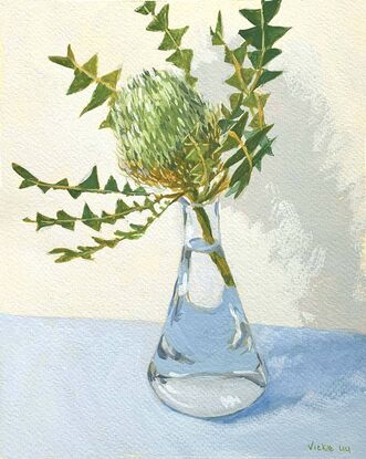 Green banksia flower in vase on blue