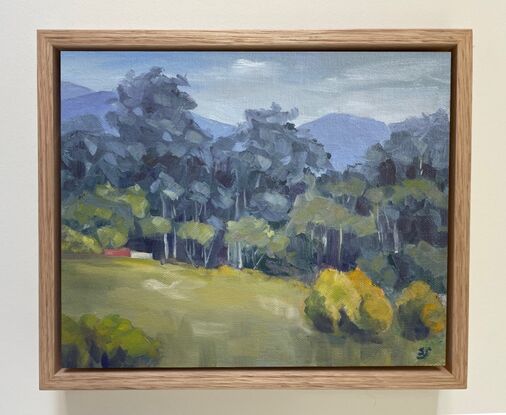 A rural scene with pasture and tall eucalyptus trees, with sunlight and shadows,  and the mountains of the Great Dividing Range in the background.