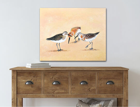 A painting of three Curlew Sandpiper birds on a sand coloured background.  These shore birds have long brown bills and are a mottled grey and chestnut colour.