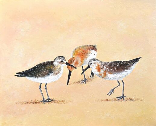 A painting of three Curlew Sandpiper birds on a sand coloured background.  These shore birds have long brown bills and are a mottled grey and chestnut colour.