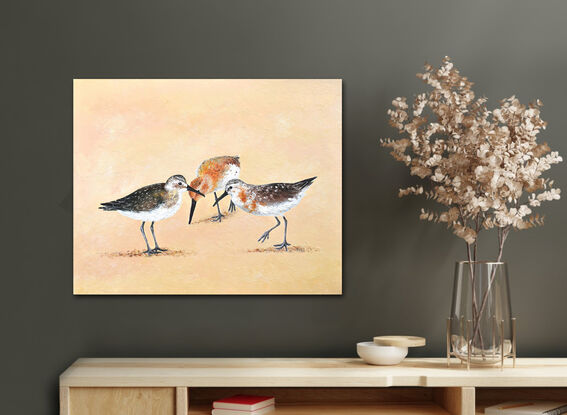 A painting of three Curlew Sandpiper birds on a sand coloured background.  These shore birds have long brown bills and are a mottled grey and chestnut colour.