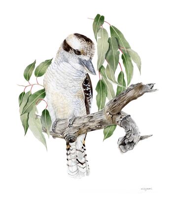 Kookaburra on a tree branch surrounded by leaves