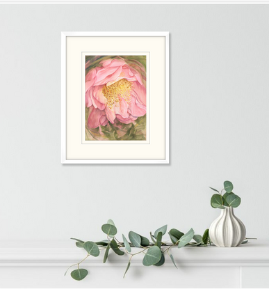 Large pink Camellia flower with yellow stamens and an olive abstract background.