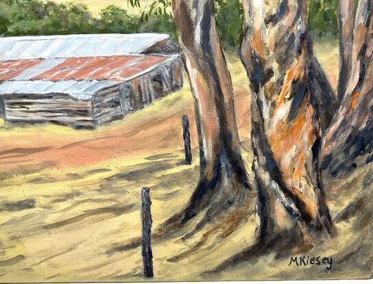 Cows and cow shed in the Western Australian countryside.