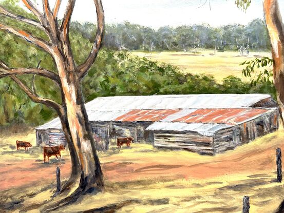 Cows and cow shed in the Western Australian countryside.