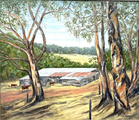 Cows and cow shed in the Western Australian countryside.