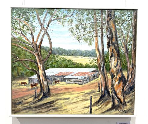 Cows and cow shed in the Western Australian countryside.