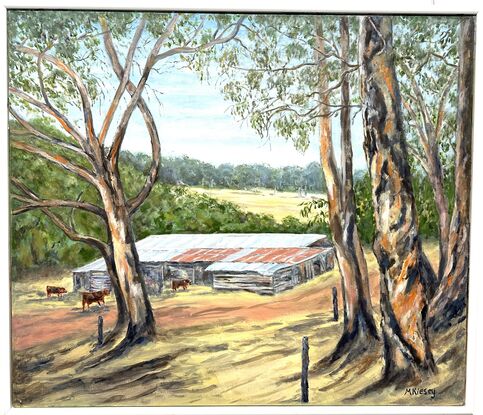 Cows and cow shed in the Western Australian countryside.