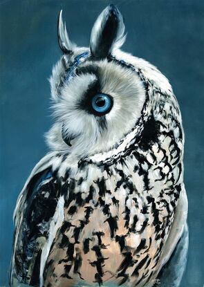 Portrait of white owl