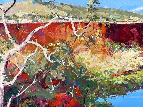 Dales Gorge in Karijini painted in vibrant colours with white gumtree standing out against the red rocks. 