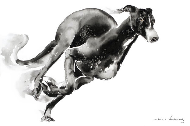 Capturing the boundless spirit of a Greyhound in full stride.