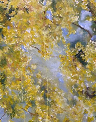 Golden cascades of wattle flowers against a soft blue sky and scattered green leaves. How dreamy. There is a soft misty blue background  sky and a feast of green leaves and glorious golden flowers that cascade down the canvas. This painting is alive with drama and you will be imagining the hum of bees and look at it over and over again as you drink in the beauty of this one. 