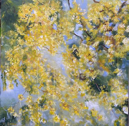 Golden cascades of wattle flowers against a soft blue sky and scattered green leaves. How dreamy. There is a soft misty blue background  sky and a feast of green leaves and glorious golden flowers that cascade down the canvas. This painting is alive with drama and you will be imagining the hum of bees and look at it over and over again as you drink in the beauty of this one. 