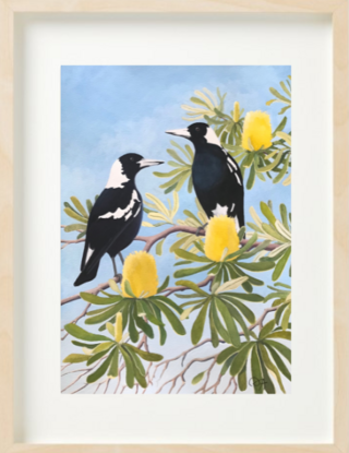 Two glossy black and white magpies perch amongst a mass of yellow coastal banksia flowers and their leathery, twisting leaves, against a blue sky.