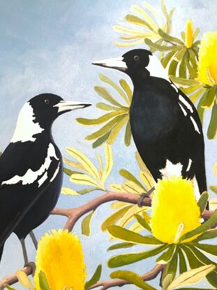 Two glossy black and white magpies perch amongst a mass of yellow coastal banksia flowers and their leathery, twisting leaves, against a blue sky.