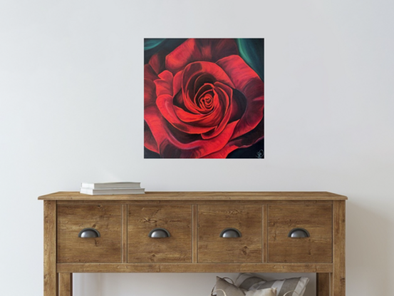 Up close perspective of the centre of a velvety deep red rose