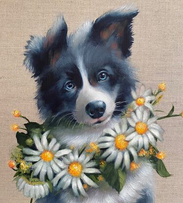 A black and white border collie puppy wearing a necklace of white and gold daisies