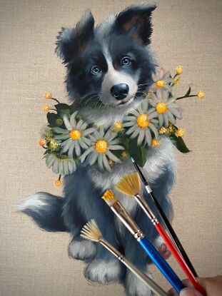 A black and white border collie puppy wearing a necklace of white and gold daisies