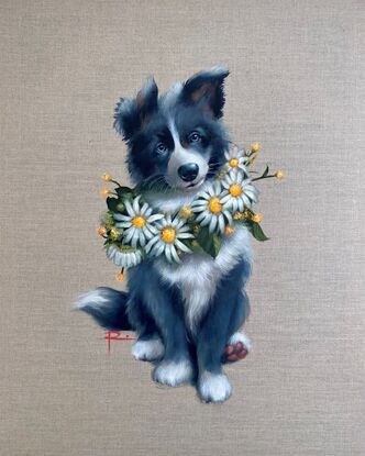 A black and white border collie puppy wearing a necklace of white and gold daisies