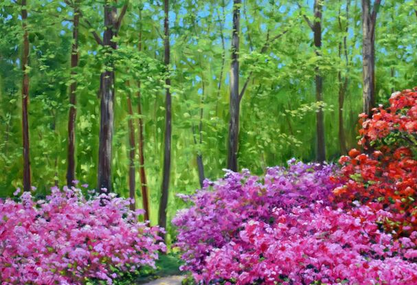 Landscape painting with blooming azaleas on a hill in the woods