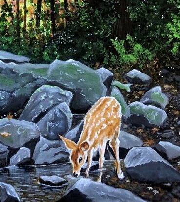 The artwork shows the Sill branch Falls area in Tennessee. Lots of rocks with a small pool created by the water from the fall. A deer is seen taking a drink of this refreshing water.