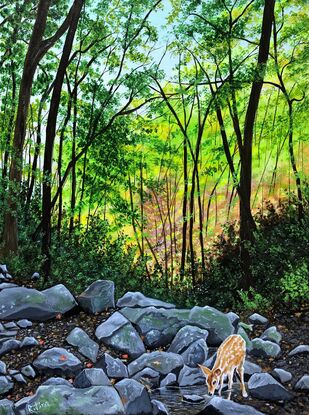 The artwork shows the Sill branch Falls area in Tennessee. Lots of rocks with a small pool created by the water from the fall. A deer is seen taking a drink of this refreshing water.