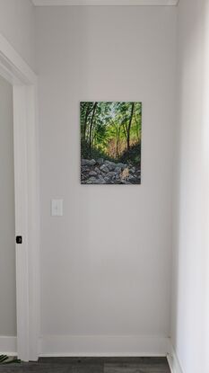 The artwork shows the Sill branch Falls area in Tennessee. Lots of rocks with a small pool created by the water from the fall. A deer is seen taking a drink of this refreshing water.