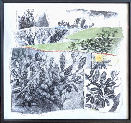 This drawing is my way to express my love of this iconic Australian beach tree - the distinctive seed cones, the intricate yellow flowers and the elegant leaf shapes all inspire my work.  