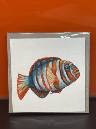 watercolour painting of a saltwater fish.