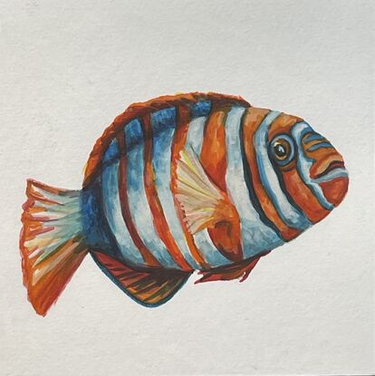 watercolour painting of a saltwater fish.