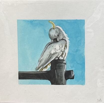 watercolour painting on paper of a White Cockatoo